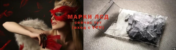 шишки Баксан