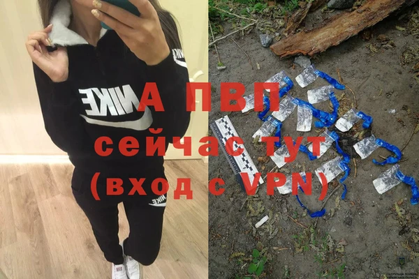 эйфоретик Заволжье