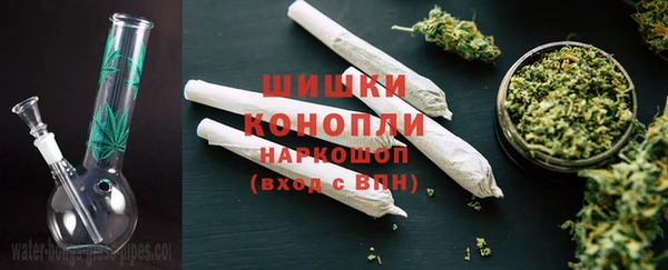 шишки Баксан