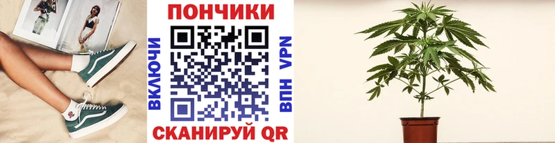 продажа наркотиков  Гвардейск  МАРИХУАНА OG Kush 
